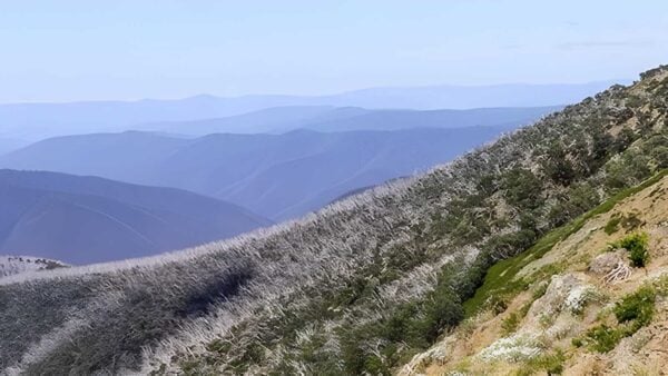 Blowfly Spur & the Blue Rag Range Hike (46.5km) Blowfly spur & the blue rag range hike (46. 5km)