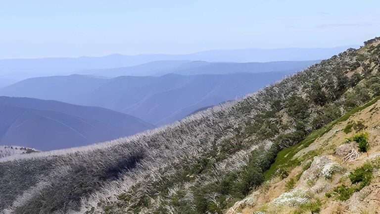 Blowfly Spur & the Blue Rag Range Hike (46.5km) Blowfly spur & the blue rag range hike (46. 5km)