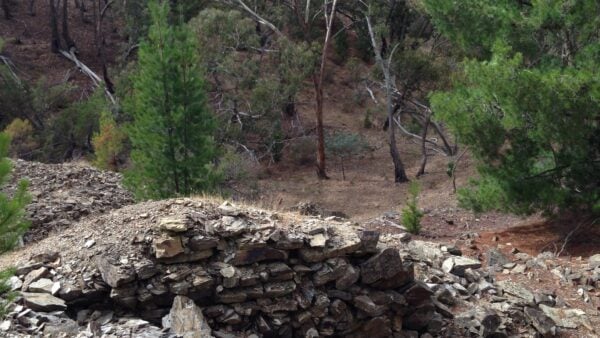Castlemaine diggings hike (14km)