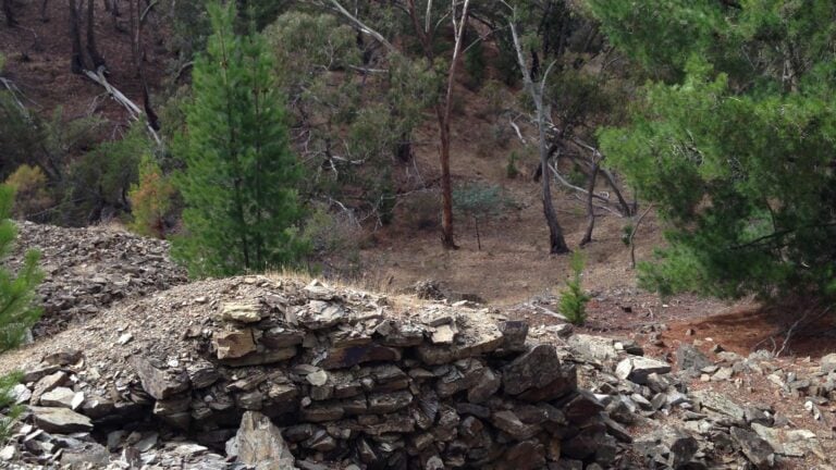 Castlemaine diggings hike (14km)