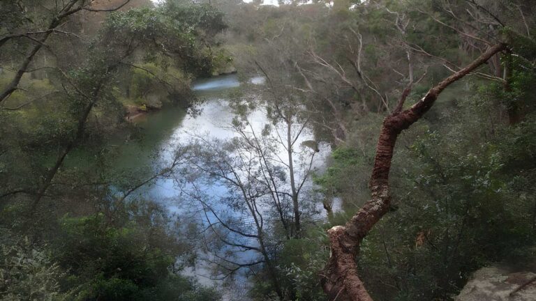 Fullers bridge to epping road walk (2. 6km)