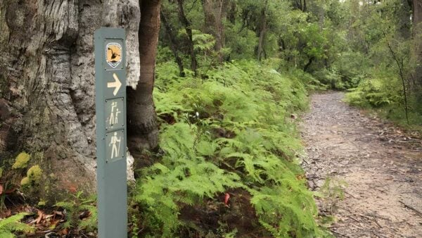Izzards Lookout Track (1.1km) Izzards lookout track (1. 1km)