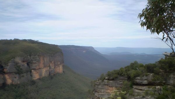 Nellie's Glen Lookout Walk (2km) Nellie's glen lookout walk (2km)
