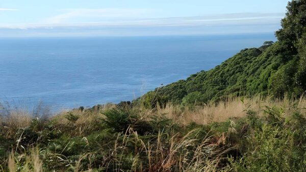 Pebbly beach to durras mountain walking track (8. 6km)