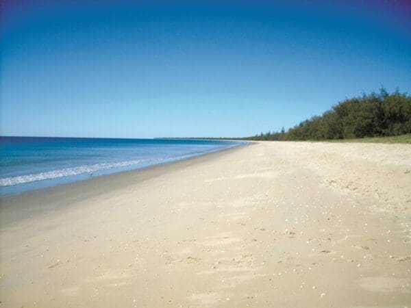 Historic Childers Walk (2km) Coral coast pathways woodgate beach section 600x450