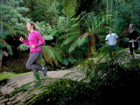 Cathedral Rock Walking Track (8.5km) Fern tree to silver falls loop