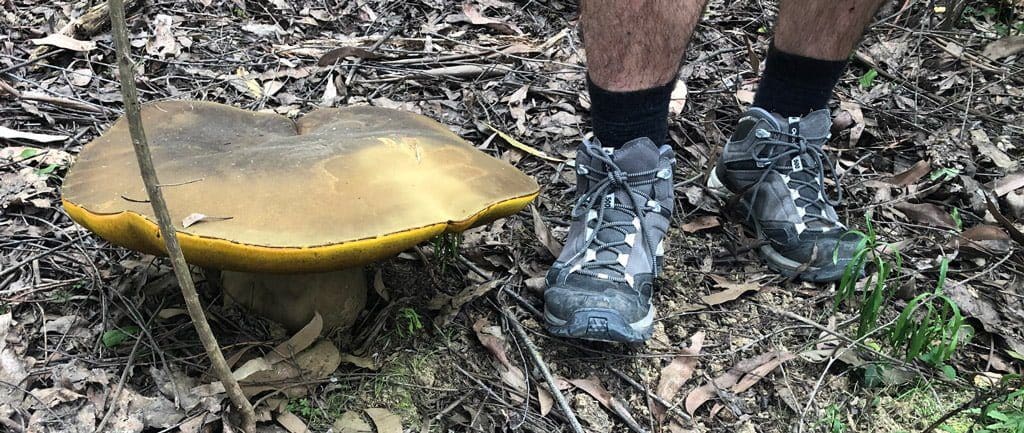 Trail hiking australia quecha mh500 boot review