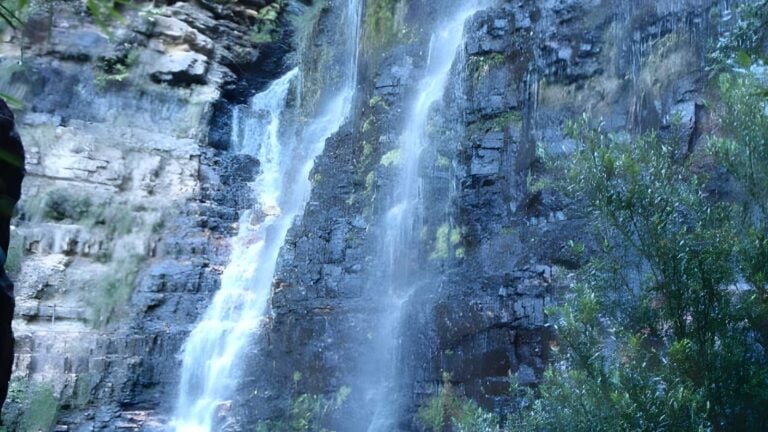 Beauchamp Falls Walk (3.1km) Beauchamp falls walk (3. 1km)