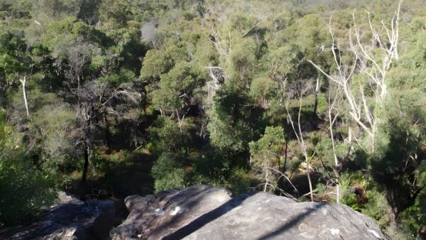 Mount olive walk (4. 4km)