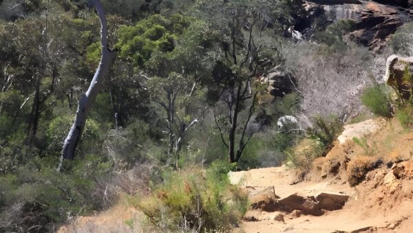 Sixty foot falls walk (2. 1km)