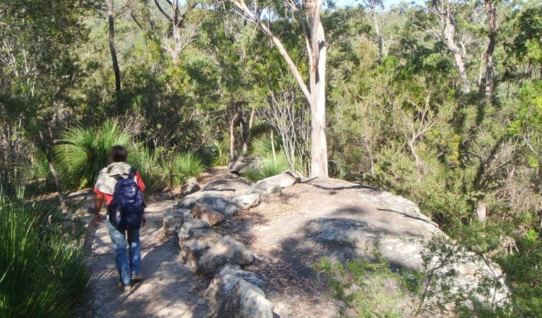 Gibberagong Walking Track (8.3km) Gibberagong walking track trail hiking australia
