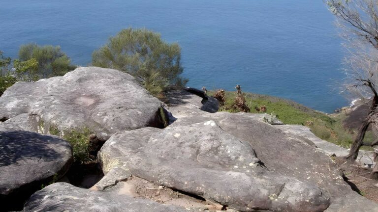 Bullimah outlook walk (2. 3km)