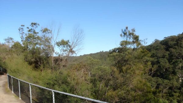 Elouera Lookout Walk (800m) Elouera lookout walk (800m)