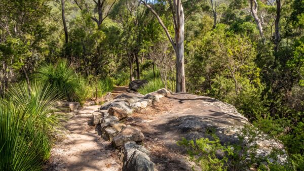 Gibberagong walking track (8. 3km)