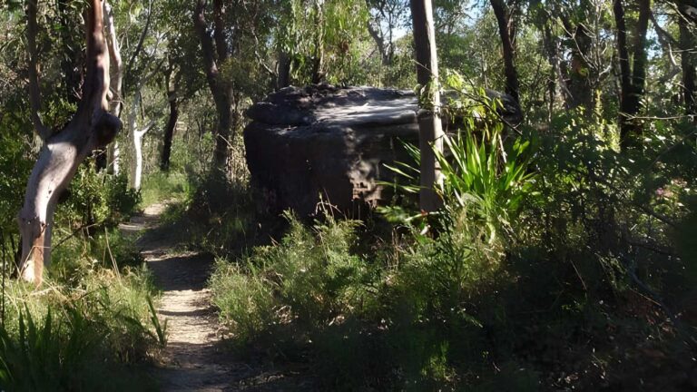 Ironbark road to glenworth valley hike (10. 1km)