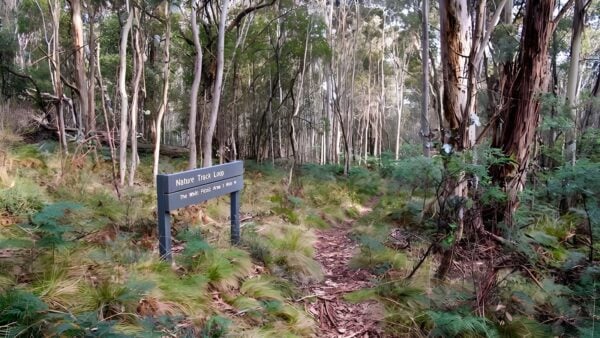 Nature Walking Track (2km) Nature walking track (2km)