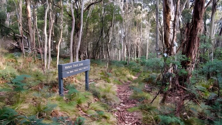 Nature Walking Track (2km) Nature walking track (2km)