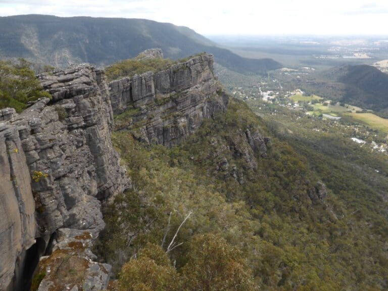 Pinnacle Track Circuit Hike (10km) Trail hiking pinnacle track circuit 768x576