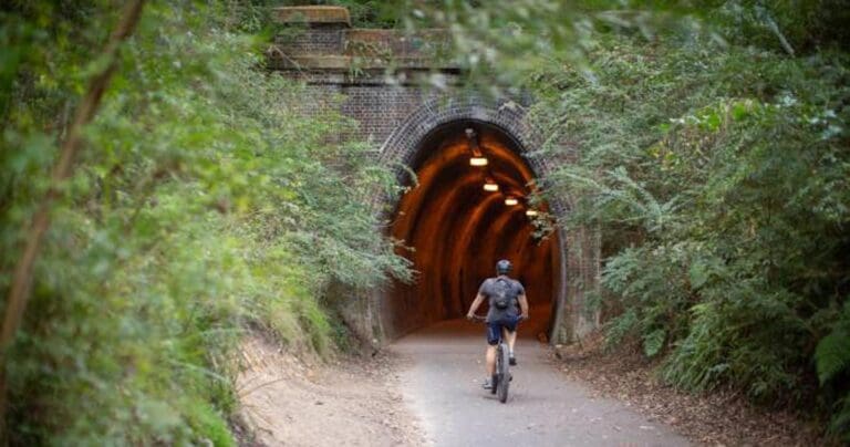 Fernleigh Track - Adamstown to Belmont Rail Trail (16km) Adamstown to belmont rail trail 768x404