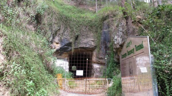 Canungra tramway tunnel 600x337