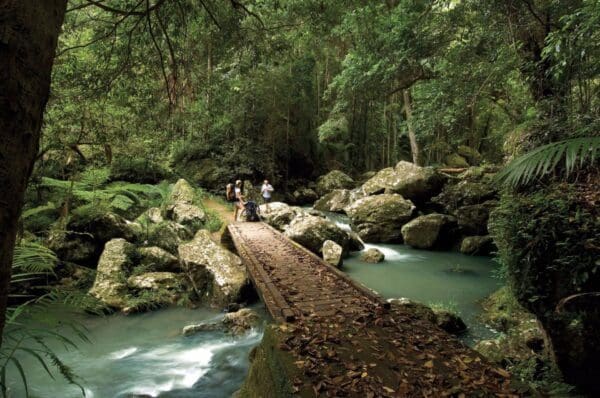 Kondalilla falls circuit 600x398
