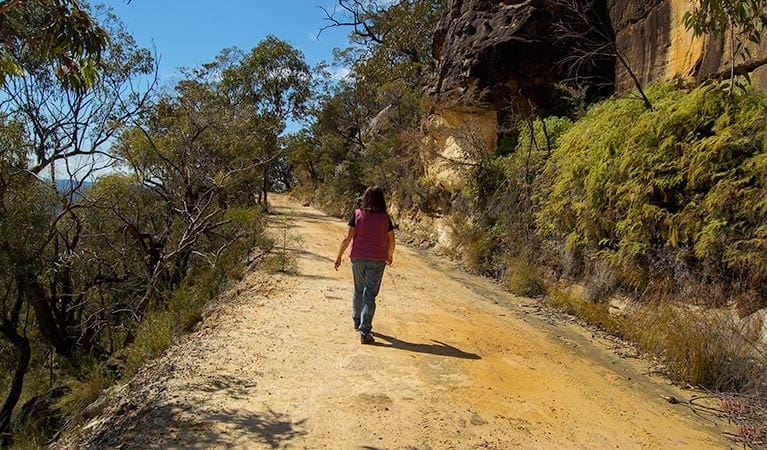 Womerah Range Trail Walk (48km) Womerah range trail trail hiking australia