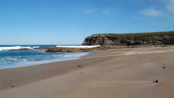 Coastal Walking Track (5km) Coastal walking track (5km)