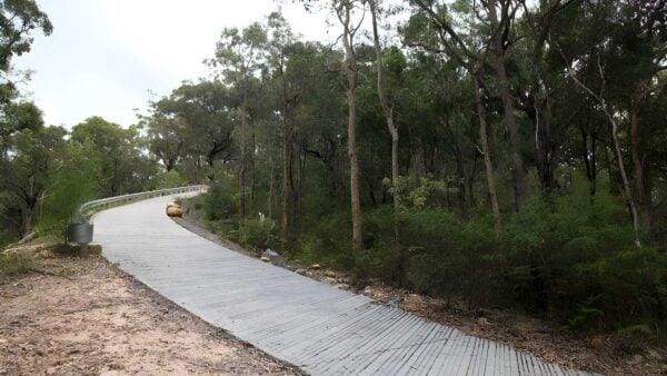 Great North Walk: Ku-Ring-Gai Chase Hike (11km) Great north walk: ku-ring-gai chase hike (11km)
