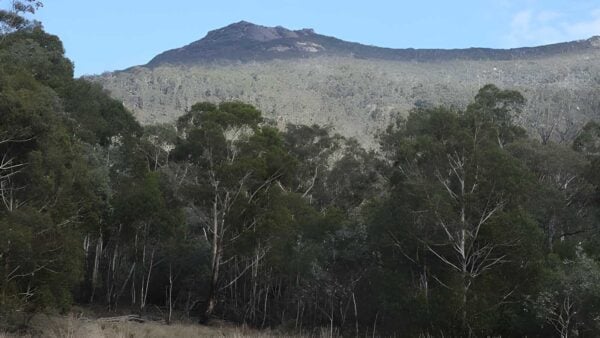 Gudgenby Bush Walk (5km) Gudgenby bush walk (5km)