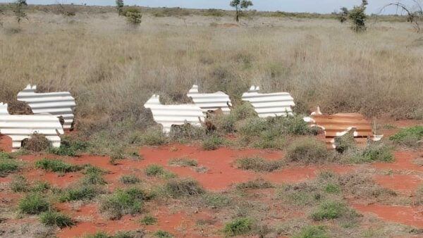 Kangaroo walk (5km)
