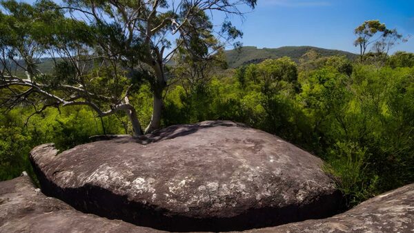 Marramarra ridge to smugglers ridge walking track (13km)
