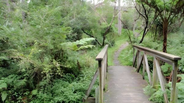 Sheldon Forest Walk (1.8km) Sheldon forest walk (1. 8km)
