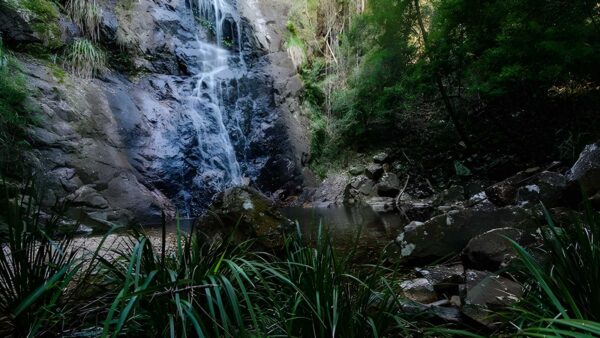Waterfall walk (7. 2km)