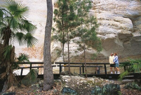The art gallery walk 600x402