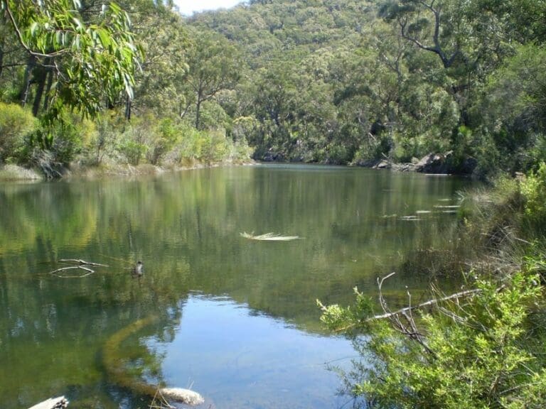 The goanna track circuit