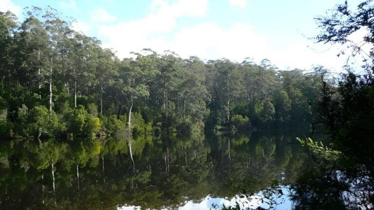 Big Brook Dam Walk (4.2km) Big brook dam walk (4. 2km)