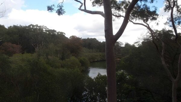 Fairylands Walking Track (1km) Fairylands walking track (1km)