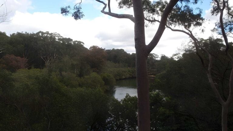 Fairylands Walking Track (1km) Fairylands walking track (1km)