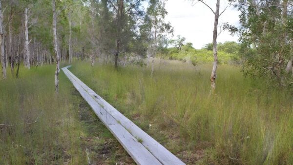 Gummigurrah Walking Track (3.3km) Gummigurrah walking track (3. 3km)