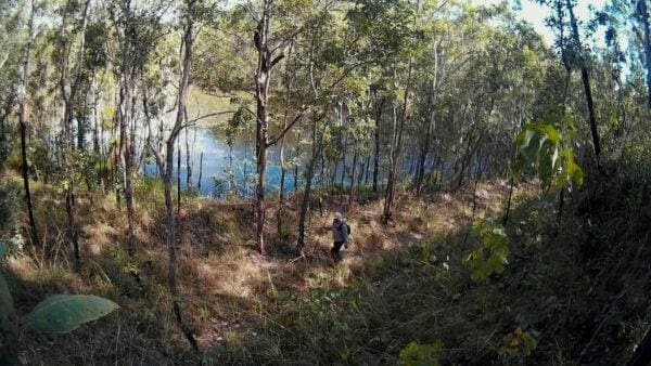 Walker Creek to Florence Falls Hike (13.8km) Trail hiking bamboo creek tin mine walker creek 600x338