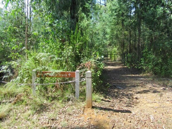 Hikes Trail hiking boroondara track 600x450