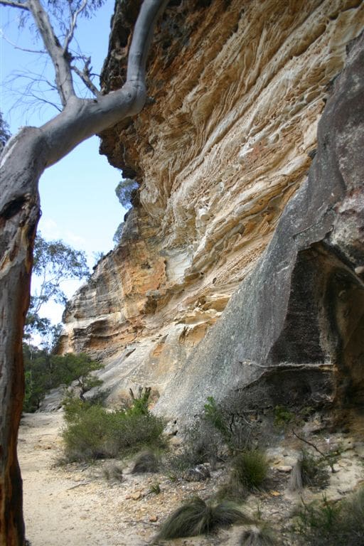 Wind Cave Walk (400m) Wind cave