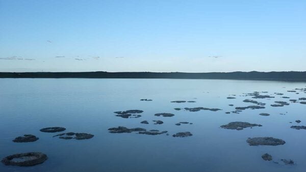 Lake Thetis Loop Trail Walk (1.5km) Lake thetis loop trail walk (1. 5km)