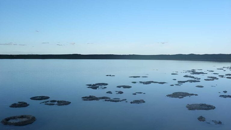 Lake Thetis Loop Trail Walk (1.5km) Lake thetis loop trail walk (1. 5km)