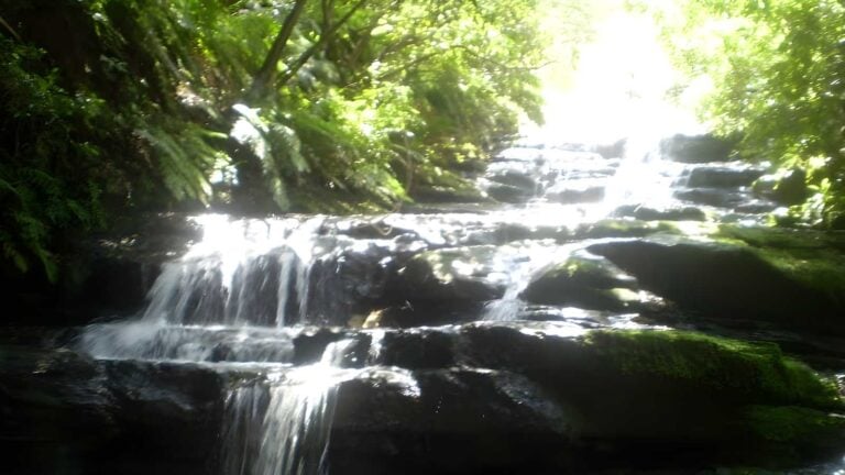 Leura cascades circuit walk (800m)