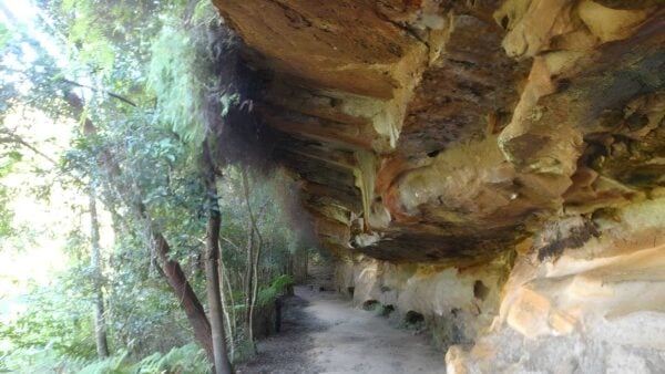 Lindfield Park & Little Digger Track Loop Hike (6.7km) Lindfield park & little digger track loop hike (6. 7km)