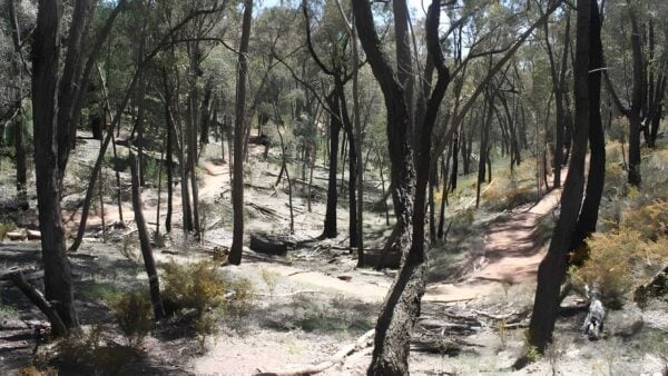 Livingstone multi-use track (4. 3km)