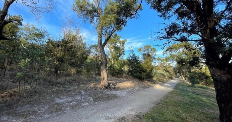 Natone Hill Circuit Track (3km) Natone hill circuit track 768x403