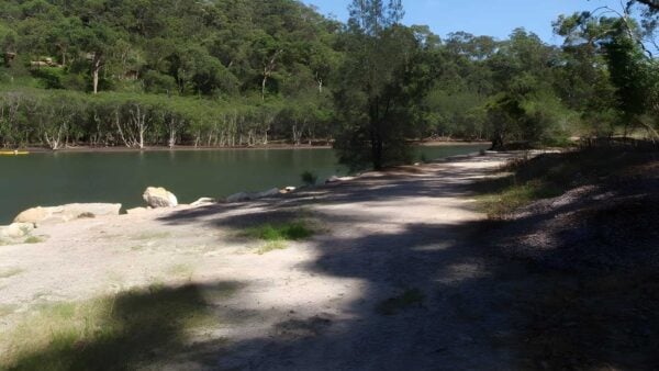 The lyrebird track (5. 3km)