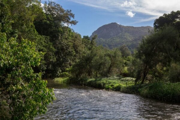Smiths track hike (9km)